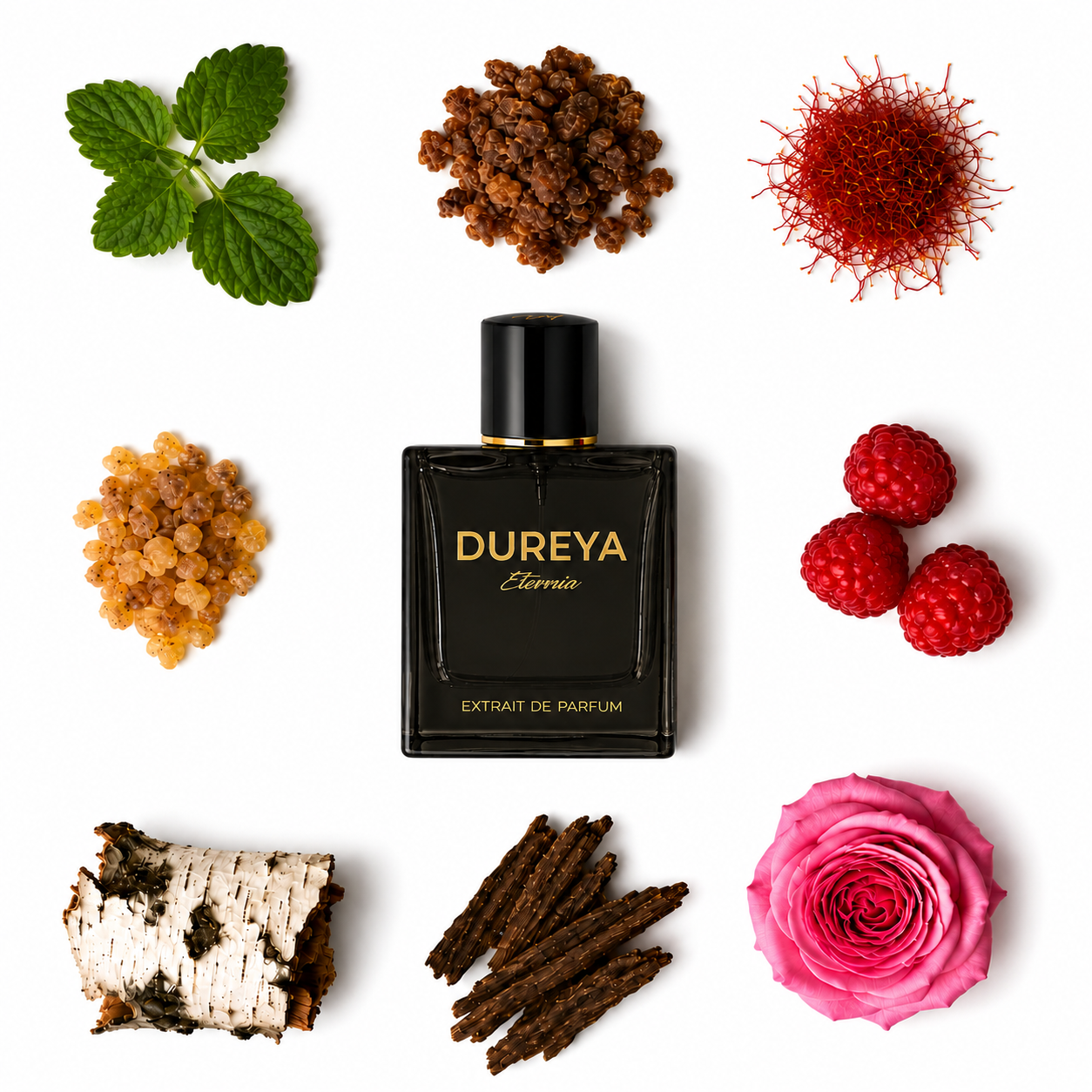 DUREYA ETERNIA